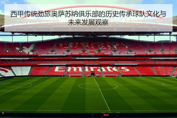 西甲传统劲旅奥萨苏纳俱乐部的历史传承球队文化与未来发展观察