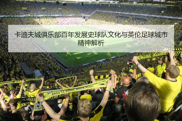 卡迪夫城俱乐部百年发展史球队文化与英伦足球城市精神解析