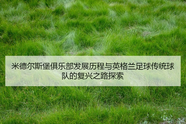 米德尔斯堡俱乐部发展历程与英格兰足球传统球队的复兴之路探索