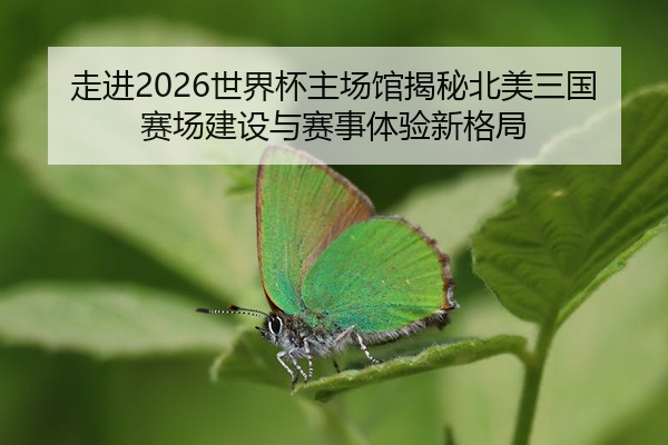 走进2026世界杯主场馆揭秘北美三国赛场建设与赛事体验新格局
