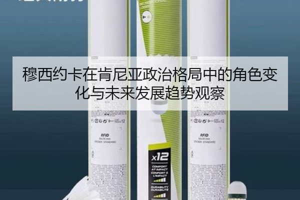 穆西约卡在肯尼亚政治格局中的角色变化与未来发展趋势观察