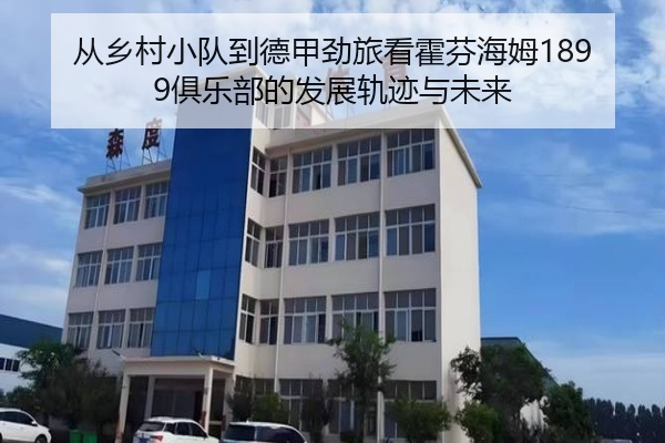 从乡村小队到德甲劲旅看霍芬海姆1899俱乐部的发展轨迹与未来