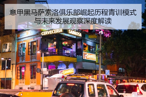 意甲黑马萨索洛俱乐部崛起历程青训模式与未来发展观察深度解读